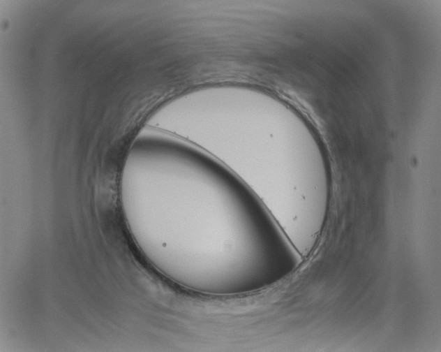 X0000061740017200512091622