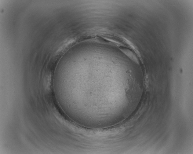 X0000061740018200512091622