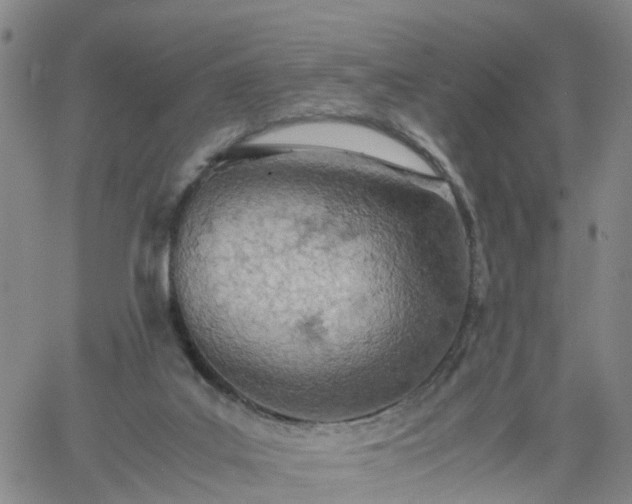 X0000061740019200512091622