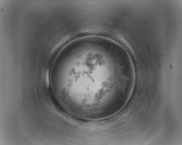 X0000061740020200512091622