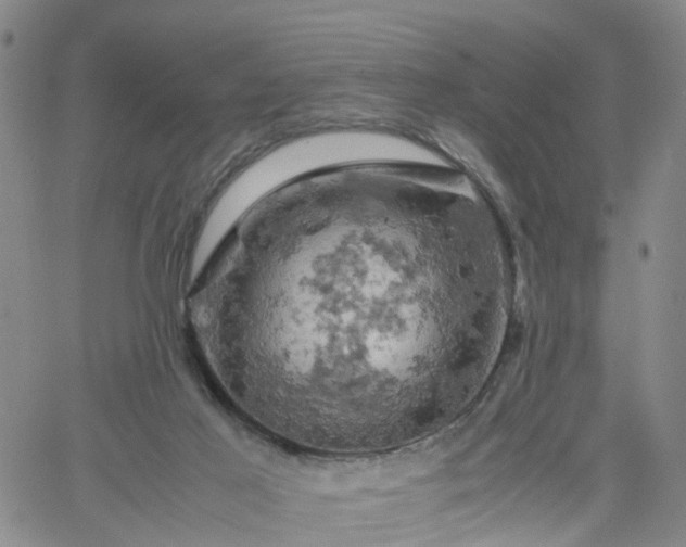 X0000061740021200512091622