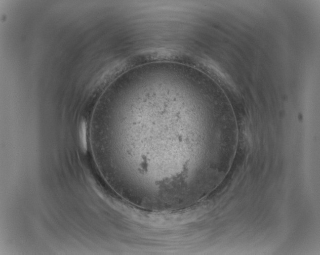 X0000061740022200512091622