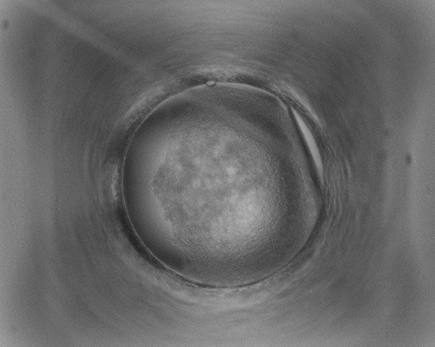 X0000061740023200512091622