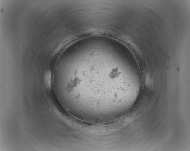 X0000061740024200512091622