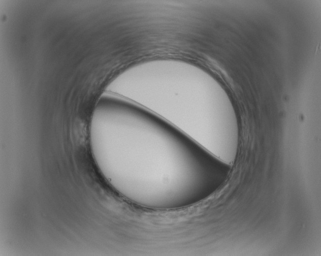 X0000061740025200512091622