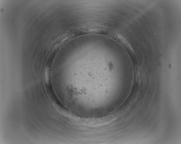 X0000061740026200512091622