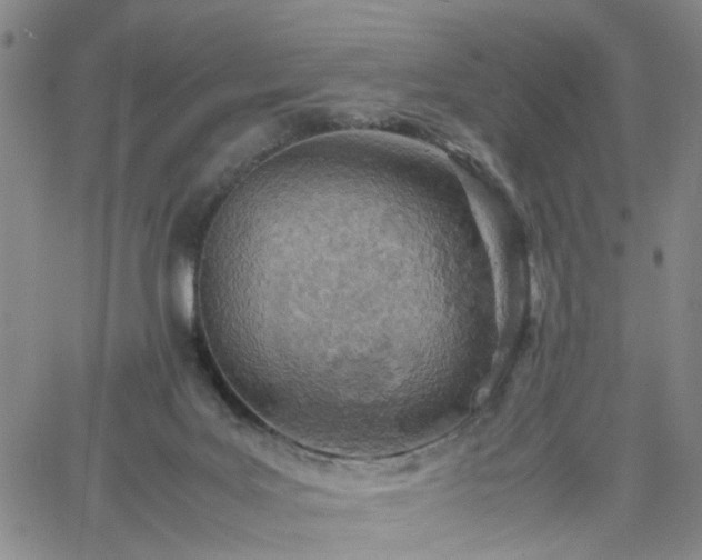 X0000061740027200512091622