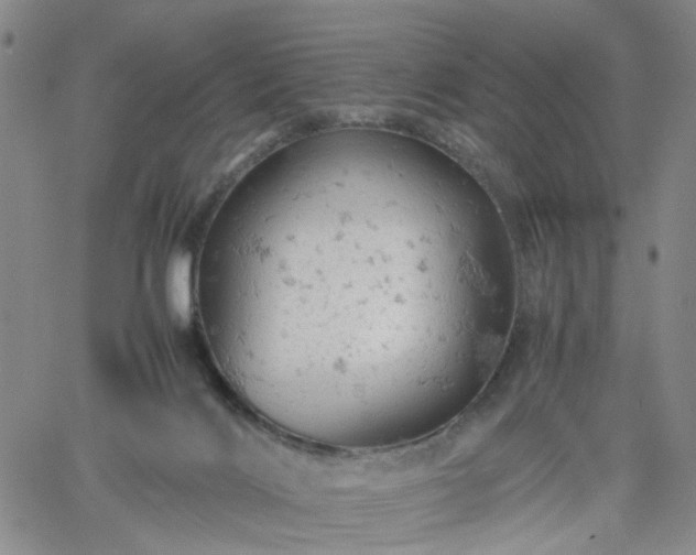 X0000061740028200512091622