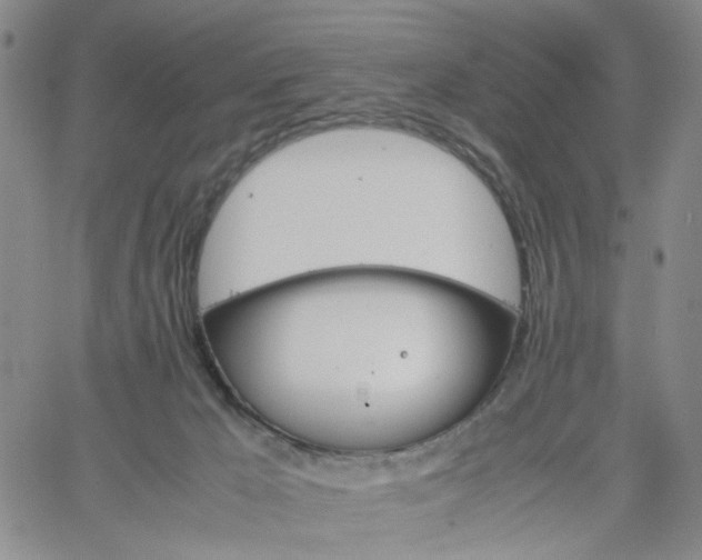 X0000061740029200512091622