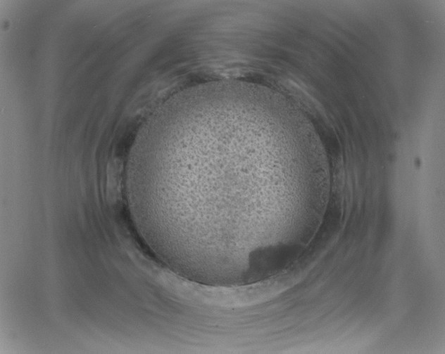 X0000061740030200512091622