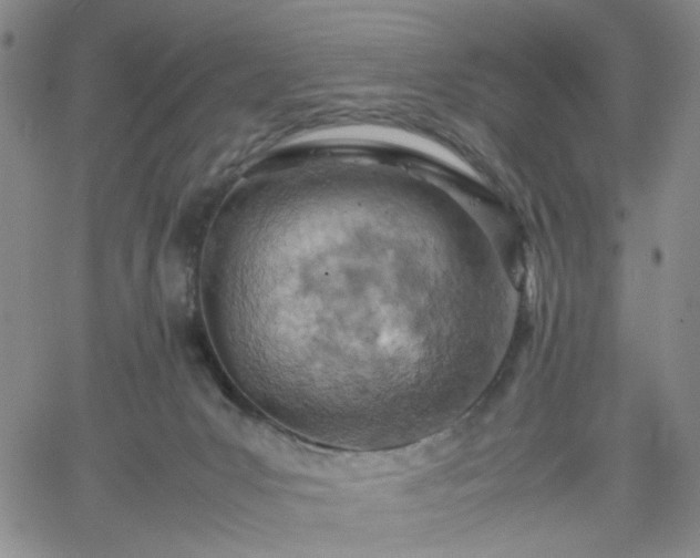 X0000061740031200512091622