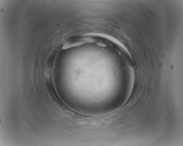 X0000061740033200512091622