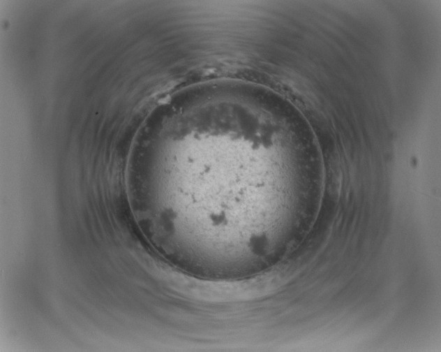 X0000061740034200512091622