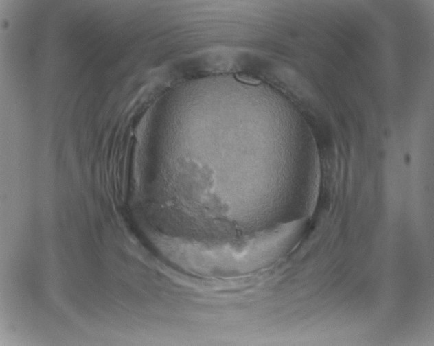 X0000061740035200512091622