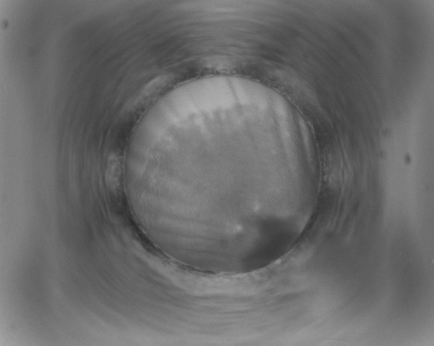 X0000061740036200512091622