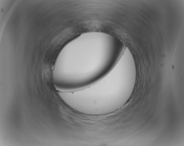 X0000061740037200512091621