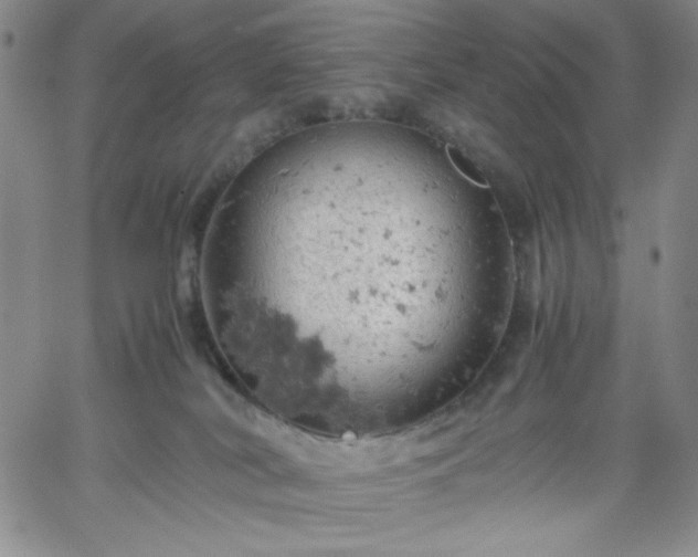 X0000061740038200512091621