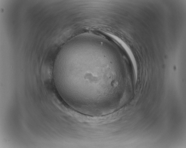 X0000061740039200512091621