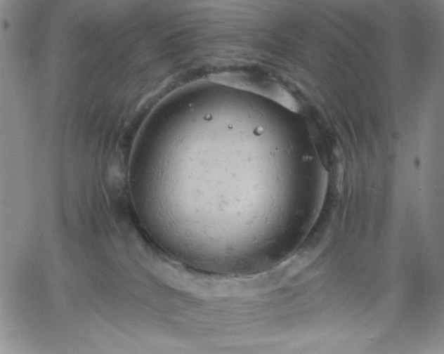 X0000061740040200512091621