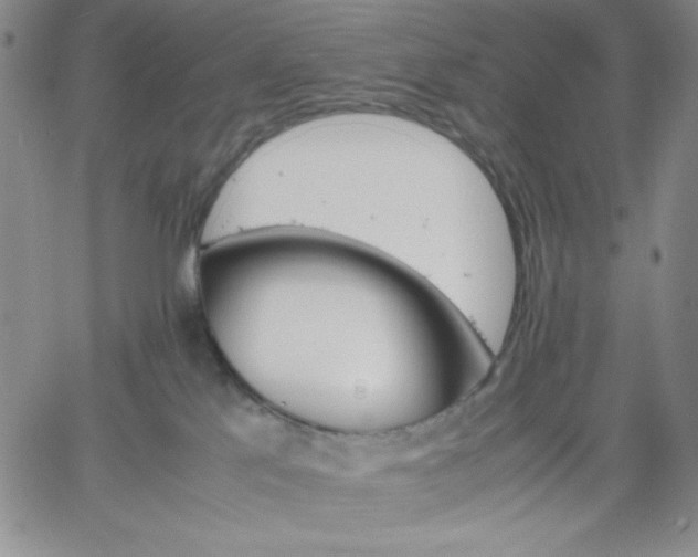 X0000061740041200512091621