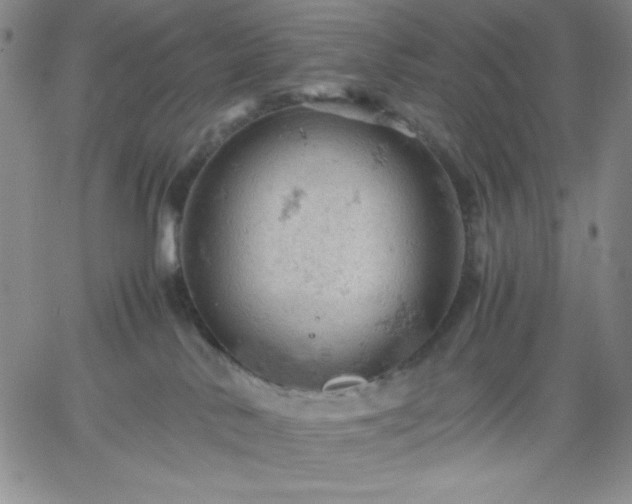 X0000061740042200512091621