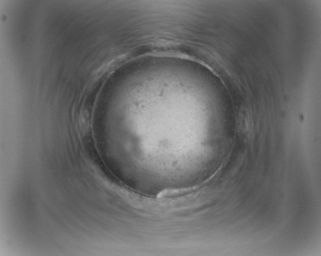 X0000061740043200512091621