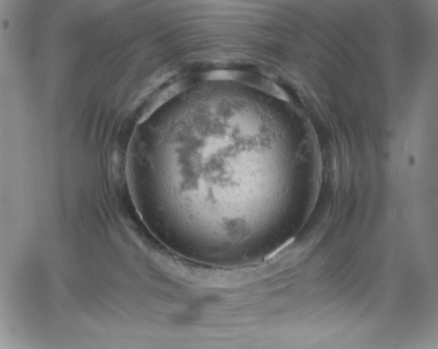 X0000061740044200512091621