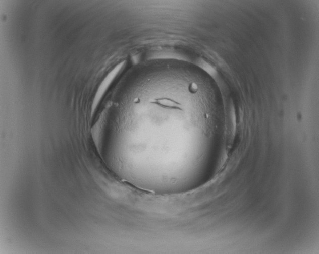 X0000061740045200512091621