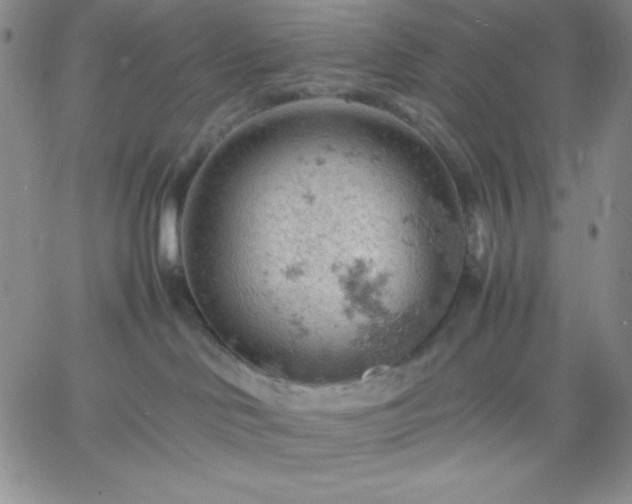 X0000061740046200512091621