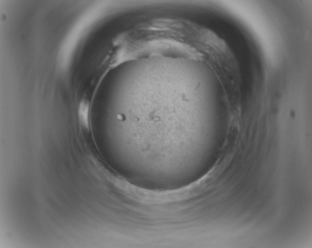 X0000061740047200512091621