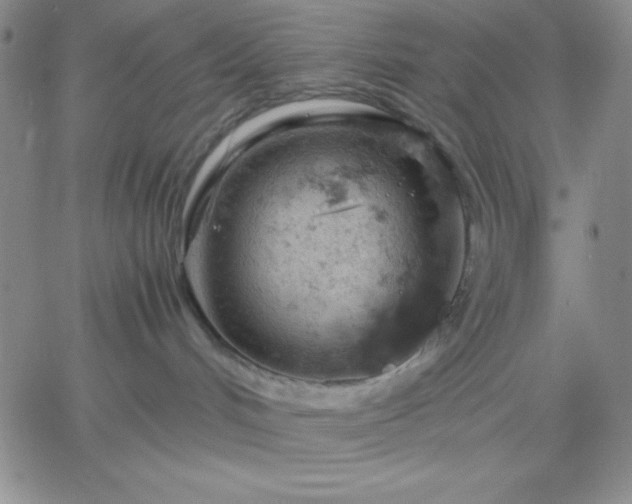 X0000061740048200512091621