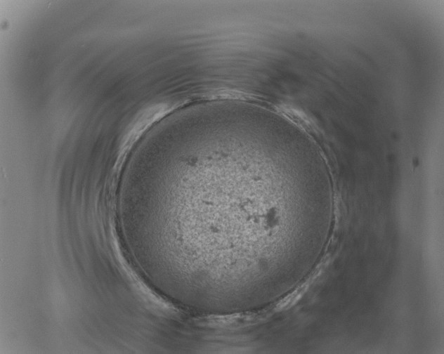 X0000061740049200512091621