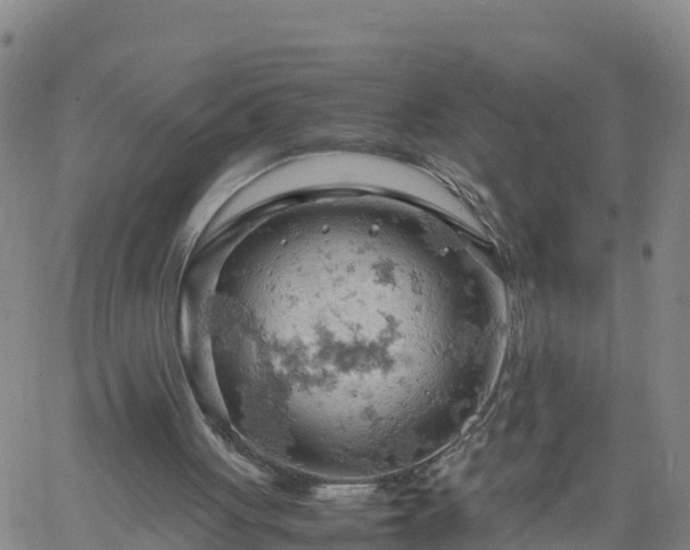 X0000061740051200512091621