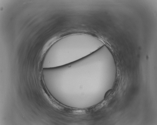 X0000061740053200512091621