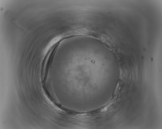 X0000061740054200512091621