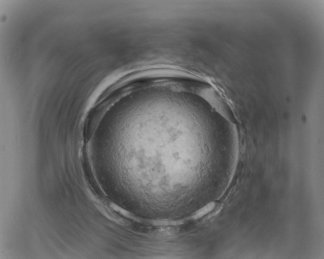 X0000061740056200512091621