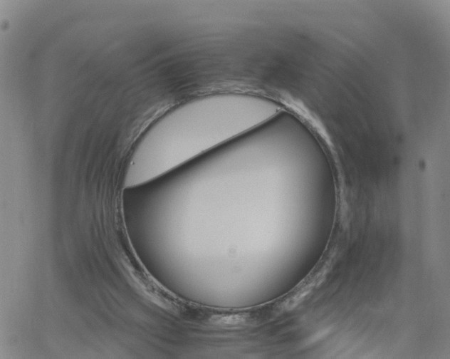 X0000061740057200512091621