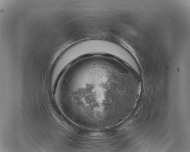 X0000061740059200512091621