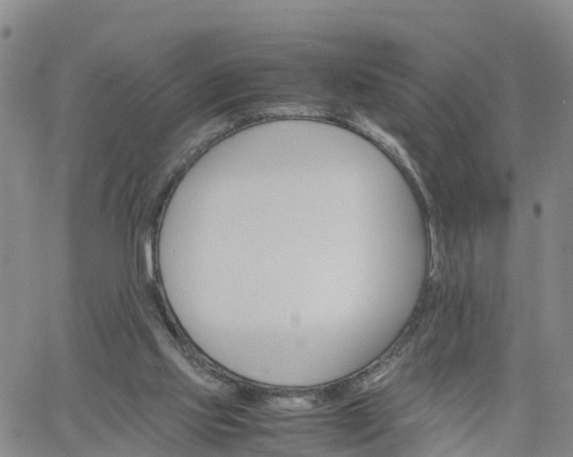 X0000061740061200512091621