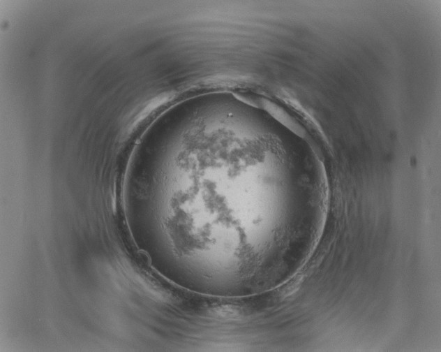 X0000061740062200512091621