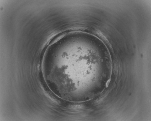 X0000061740063200512091621