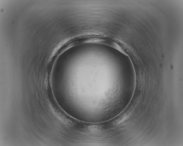 X0000061740064200512091621