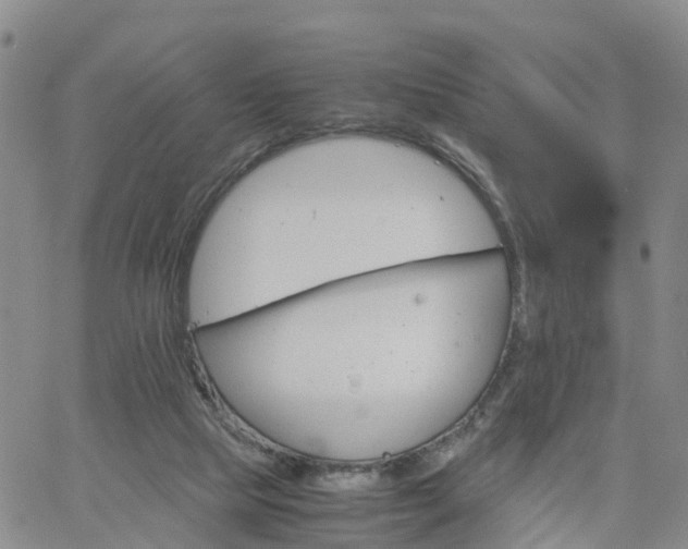 X0000061740065200512091621