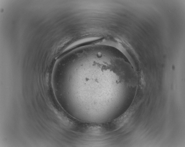 X0000061740066200512091621