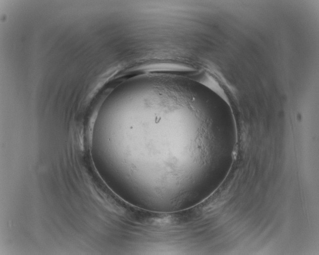 X0000061740068200512091621