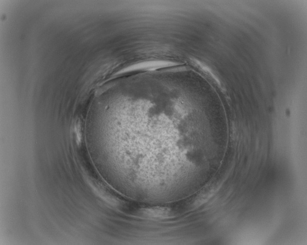 X0000061740069200512091621