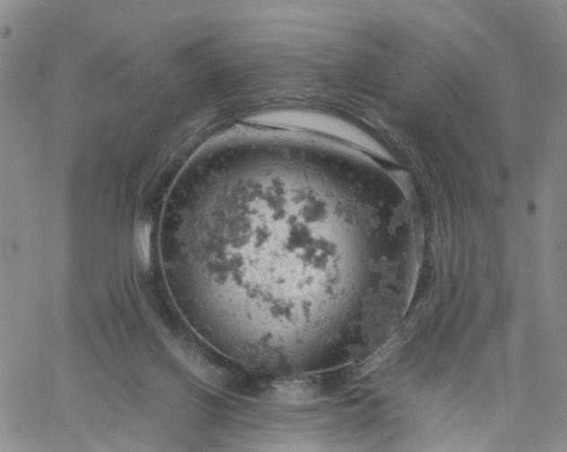 X0000061740070200512091621