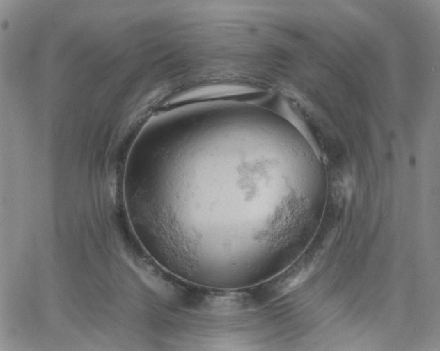 X0000061740072200512091621