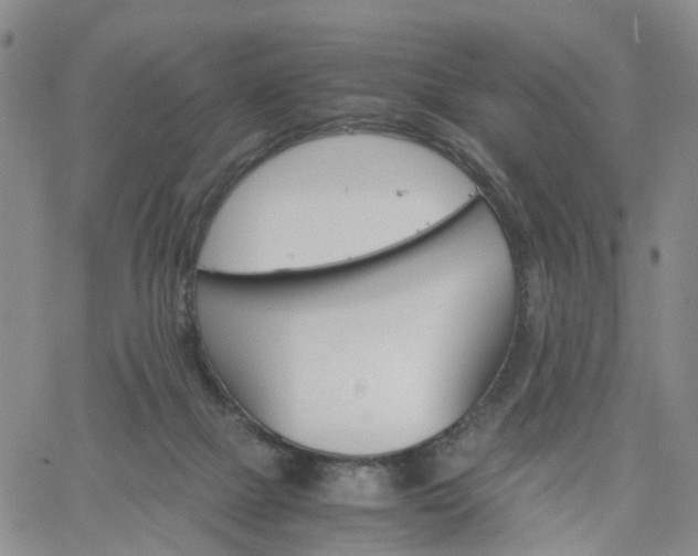 X0000061740073200512091621