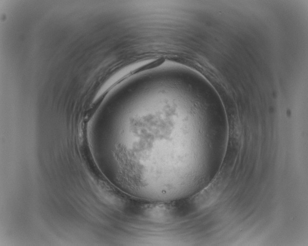 X0000061740074200512091621